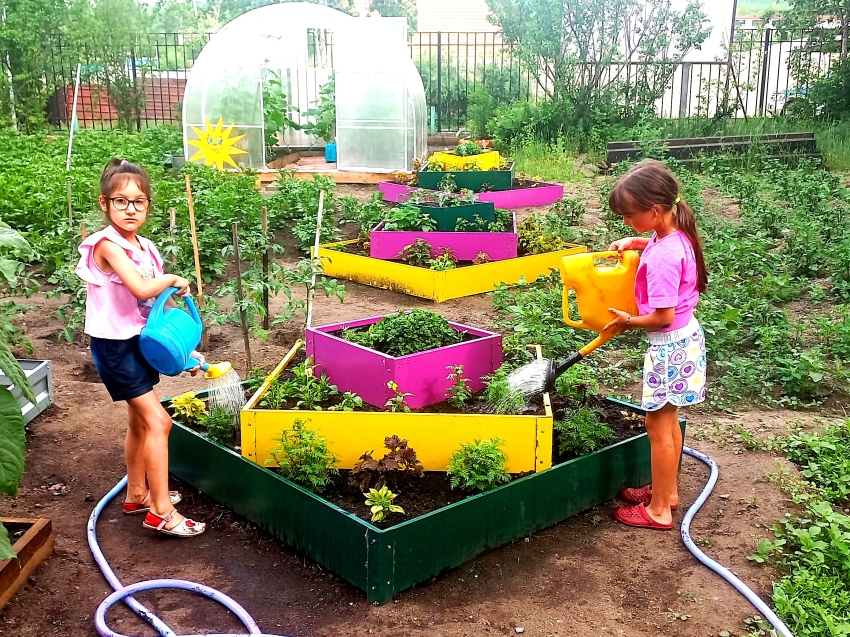 Воспитанницы центра для детей-сирот имени Киргизова в Забайкалье собрали урожай наград на районном фотоконкурсе садов